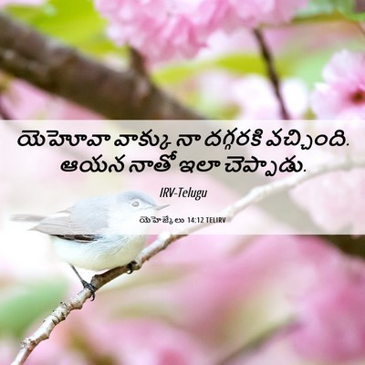 Picture 06 - యెహెజ్కేలు 14:12 TELIRV - యెహోవా వాక్కు నా - Bible Verse Picture