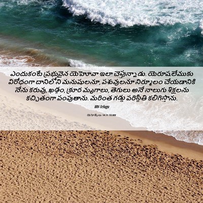 Picture 06 - యెహెజ్కేలు 14:21 TELIRV - ఎందుకంటే ప్రభువైన - Bible Verse Picture