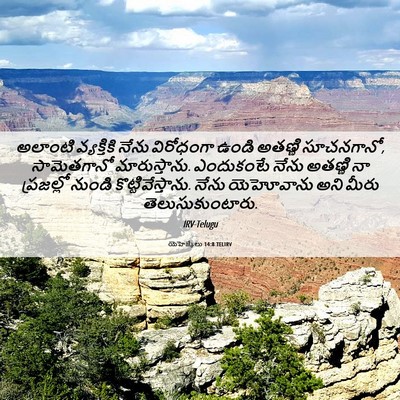 Picture 06 - యెహెజ్కేలు 14:8 TELIRV - అలాంటి వ్యక్తికి - Bible Verse Picture