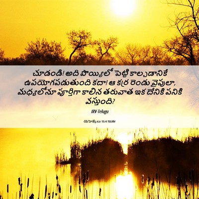 Picture 06 - యెహెజ్కేలు 15:4 TELIRV - చూడండి! అది - Bible Verse Picture