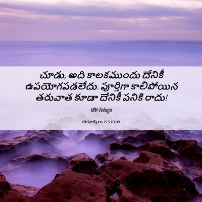 Picture 06 - యెహెజ్కేలు 15:5 TELIRV - చూడు, అది - Bible Verse Picture