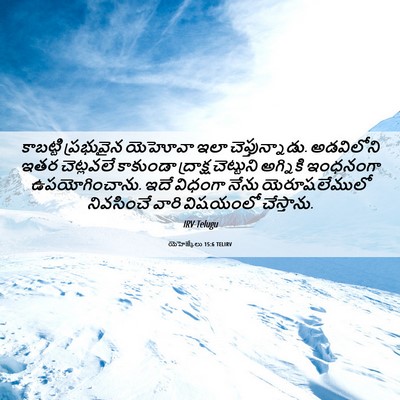 Picture 06 - యెహెజ్కేలు 15:6 TELIRV - కాబట్టి ప్రభువైన - Bible Verse Picture