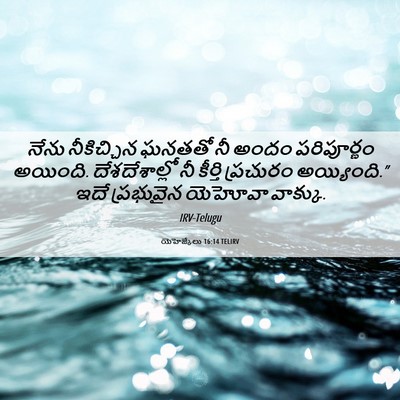 Picture 06 - యెహెజ్కేలు 16:14 TELIRV - నేను నీకిచ్చిన - Bible Verse Picture