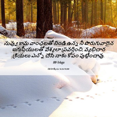 Picture 06 - యెహెజ్కేలు 16:26 TELIRV - నువ్వు కామ - Bible Verse Picture