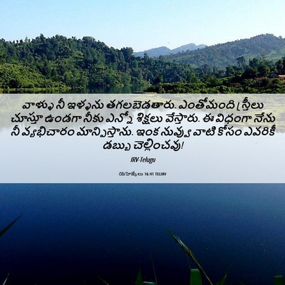 Picture 06 - యెహెజ్కేలు 16:41 TELIRV - వాళ్ళు నీ ఇళ్ళను - Bible Verse Picture