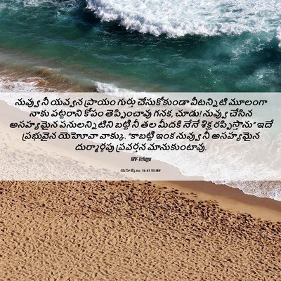Picture 06 - యెహెజ్కేలు 16:43 TELIRV - నువ్వు నీ యవ్వన - Bible Verse Picture