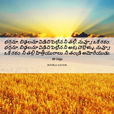 Picture 06 - యెహెజ్కేలు 16:45 TELIRV - భర్తనూ, బిడ్డలనూ - Bible Verse Picture