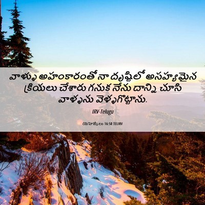 Picture 06 - యెహెజ్కేలు 16:50 TELIRV - వాళ్ళు అహంకారంతో - Bible Verse Picture
