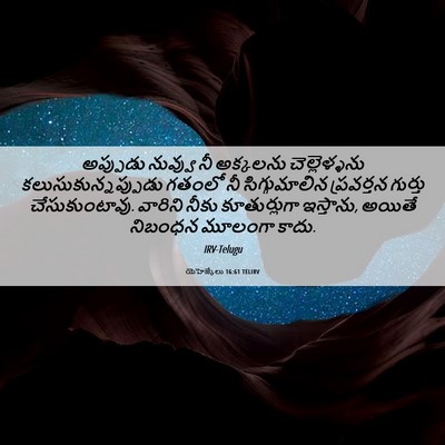 Picture 06 - యెహెజ్కేలు 16:61 TELIRV - అప్పుడు నువ్వు నీ - Bible Verse Picture