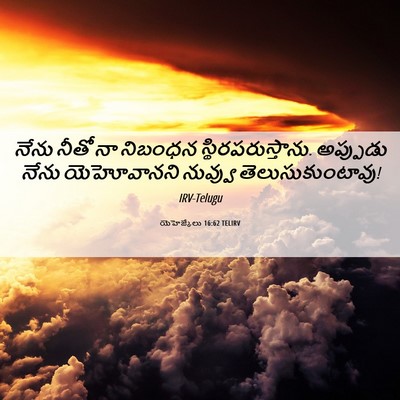 Picture 06 - యెహెజ్కేలు 16:62 TELIRV - నేను నీతో నా - Bible Verse Picture