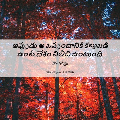 Picture 06 - యెహెజ్కేలు 17:14 TELIRV - ఇప్పుడు ఆ - Bible Verse Picture