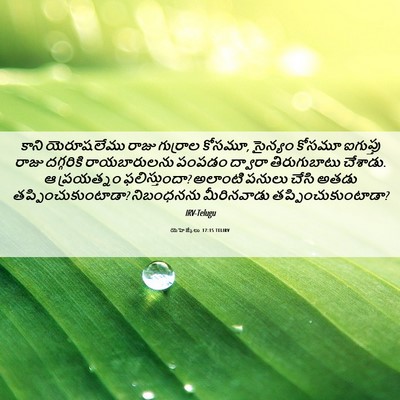 Picture 06 - యెహెజ్కేలు 17:15 TELIRV - కాని యెరూషలేము - Bible Verse Picture