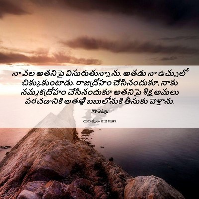 Picture 06 - యెహెజ్కేలు 17:20 TELIRV - నా వల అతనిపై - Bible Verse Picture
