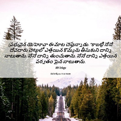 Picture 06 - యెహెజ్కేలు 17:22 TELIRV - ప్రభువైన యెహోవా ఈ - Bible Verse Picture