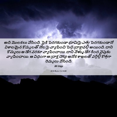 Picture 06 - యెహెజ్కేలు 17:6 TELIRV - అది మొలకలు - Bible Verse Picture