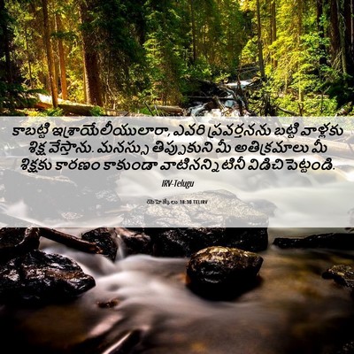 Picture 06 - యెహెజ్కేలు 18:30 TELIRV - కాబట్టి - Bible Verse Picture