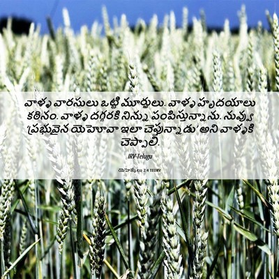Picture 06 - యెహెజ్కేలు 2:4 TELIRV - వాళ్ళ వారసులు - Bible Verse Picture