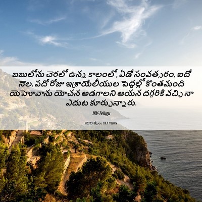 Picture 06 - యెహెజ్కేలు 20:1 TELIRV - బబులోను చెరలో - Bible Verse Picture