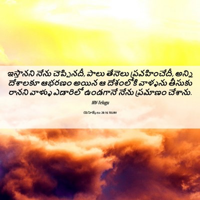 Picture 06 - యెహెజ్కేలు 20:16 TELIRV - ఇస్తానని నేను - Bible Verse Picture