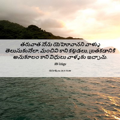 Picture 06 - యెహెజ్కేలు 20:25 TELIRV - తరువాత నేను - Bible Verse Picture