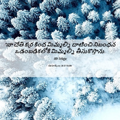 Picture 06 - యెహెజ్కేలు 20:37 TELIRV - “నా చేతి కర్ర కింద - Bible Verse Picture