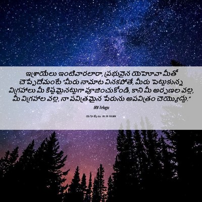 Picture 06 - యెహెజ్కేలు 20:39 TELIRV - ఇశ్రాయేలు - Bible Verse Picture