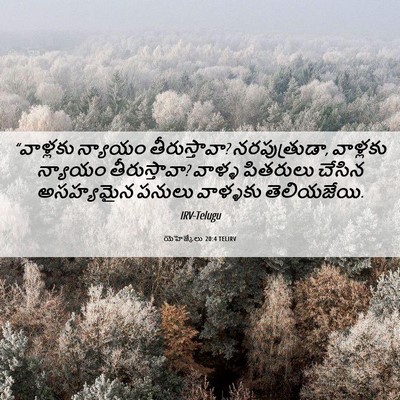 Picture 06 - యెహెజ్కేలు 20:4 TELIRV - “వాళ్లకు న్యాయం - Bible Verse Picture