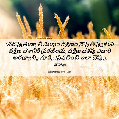 Picture 06 - యెహెజ్కేలు 20:46 TELIRV - “నరపుత్రుడా, నీ - Bible Verse Picture