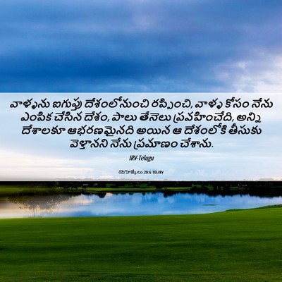 Picture 06 - యెహెజ్కేలు 20:6 TELIRV - వాళ్ళను ఐగుప్తు - Bible Verse Picture
