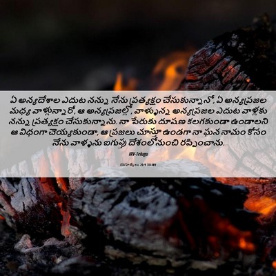 Picture 06 - యెహెజ్కేలు 20:9 TELIRV - ఏ అన్యదేశాల ఎదుట - Bible Verse Picture