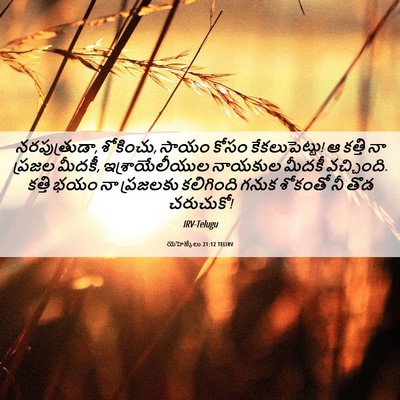 Picture 06 - యెహెజ్కేలు 21:12 TELIRV - నరపుత్రుడా, - Bible Verse Picture