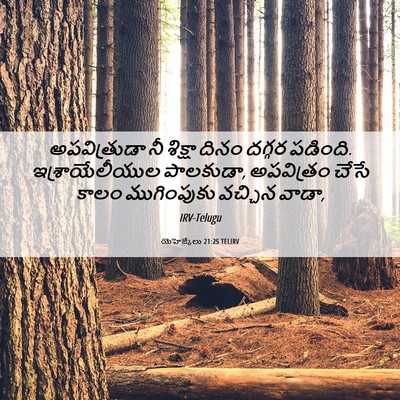 Picture 06 - యెహెజ్కేలు 21:25 TELIRV - అపవిత్రుడా నీ - Bible Verse Picture