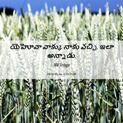 Picture 06 - యెహెజ్కేలు 22:23 TELIRV - యెహోవా వాక్కు - Bible Verse Picture