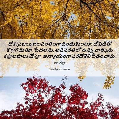 Picture 06 - యెహెజ్కేలు 22:29 TELIRV - దేశ ప్రజలు - Bible Verse Picture