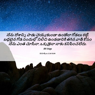 Picture 06 - యెహెజ్కేలు 22:30 TELIRV - నేను దేశాన్ని - Bible Verse Picture