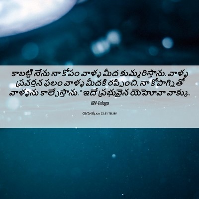 Picture 06 - యెహెజ్కేలు 22:31 TELIRV - కాబట్టి నేను నా - Bible Verse Picture