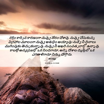 Picture 06 - యెహెజ్కేలు 22:4 TELIRV - రక్తం కార్చిన - Bible Verse Picture
