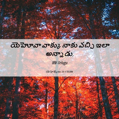 Picture 06 - యెహెజ్కేలు 23:1 TELIRV - యెహోవా వాక్కు - Bible Verse Picture