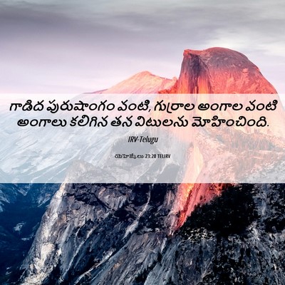 Picture 06 - యెహెజ్కేలు 23:20 TELIRV - గాడిద పురుషాంగం - Bible Verse Picture
