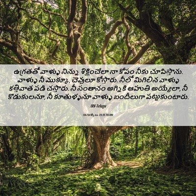 Picture 06 - యెహెజ్కేలు 23:25 TELIRV - ఉగ్రతతో వాళ్ళు - Bible Verse Picture