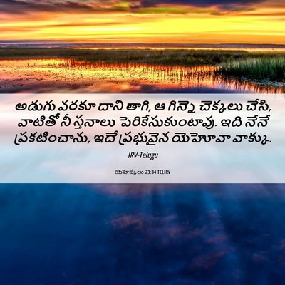 Picture 06 - యెహెజ్కేలు 23:34 TELIRV - అడుగు వరకూ దాని - Bible Verse Picture
