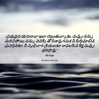 Picture 06 - యెహెజ్కేలు 23:35 TELIRV - ప్రభువైన యెహోవా - Bible Verse Picture