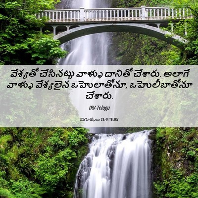 Picture 06 - యెహెజ్కేలు 23:44 TELIRV - వేశ్యతో చేసినట్టు - Bible Verse Picture