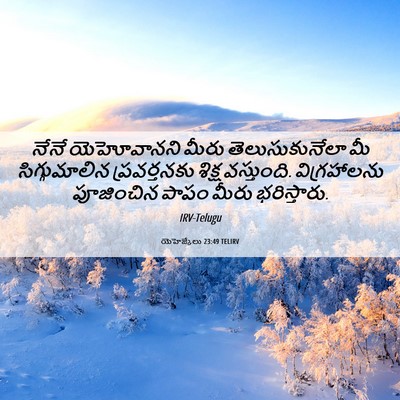 Picture 06 - యెహెజ్కేలు 23:49 TELIRV - నేనే యెహోవానని - Bible Verse Picture