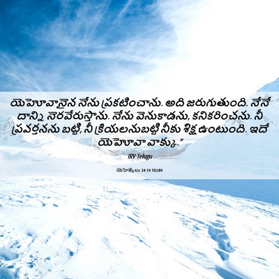 Picture 06 - యెహెజ్కేలు 24:14 TELIRV - యెహోవానైన నేను - Bible Verse Picture