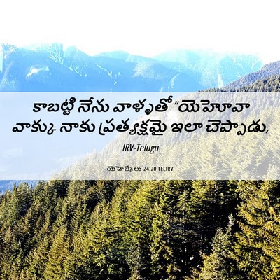 Picture 06 - యెహెజ్కేలు 24:20 TELIRV - కాబట్టి నేను - Bible Verse Picture