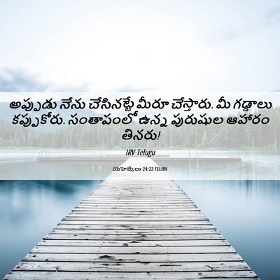 Picture 06 - యెహెజ్కేలు 24:22 TELIRV - అప్పుడు నేను - Bible Verse Picture