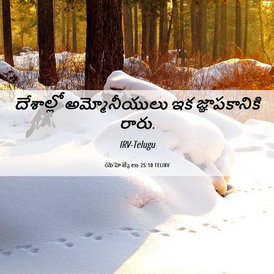 Picture 06 - యెహెజ్కేలు 25:10 TELIRV - దేశాల్లో - Bible Verse Picture
