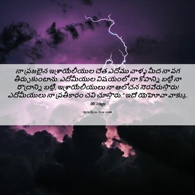 Picture 06 - యెహెజ్కేలు 25:14 TELIRV - నా ప్రజలైన - Bible Verse Picture