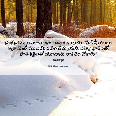 Picture 06 - యెహెజ్కేలు 25:15 TELIRV - ప్రభువైన యెహోవా - Bible Verse Picture